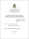 Tesis Pregrado.pdf.jpg