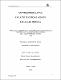 Tesis.pdf.jpg