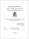 Tesis.pdf.jpg