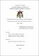 TESIS.pdf.pdf.jpg