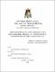 TESIS62.pdf.jpg