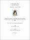 TESIS JOSÉ VILLACÍS  MARZO 2017.pdf.jpg