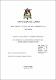 Tesis.pdf.jpg
